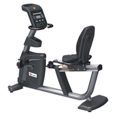 Commercial Recumbent Bike