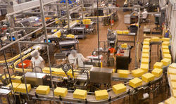 Industrial Automation Systems