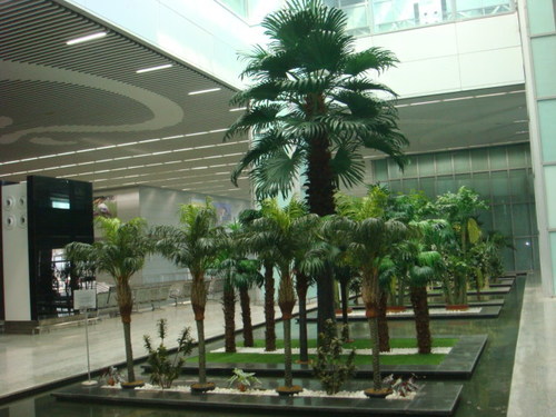 Commercial Landscaping