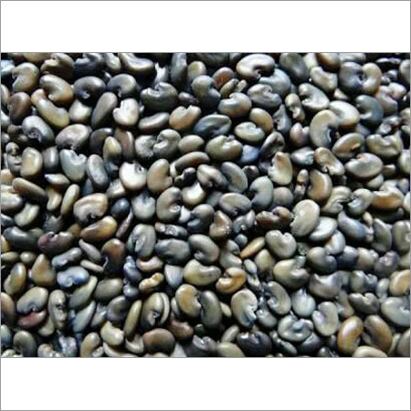 Sunhemp Seeds