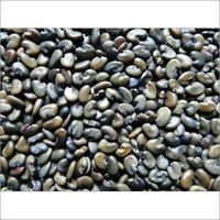 Sunhemp Seeds