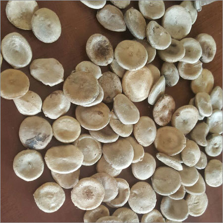 Nux Vomica