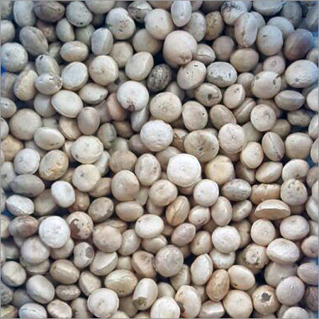 Nirmali Seed