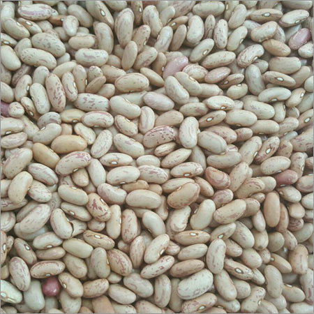 Chitra Beans