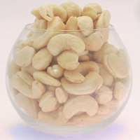 White Plain Cashew