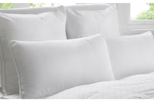 Cushion Pillows