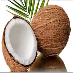 Coconut
