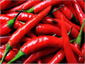 Red Chilli