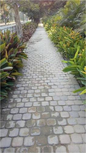 Hardscape Development