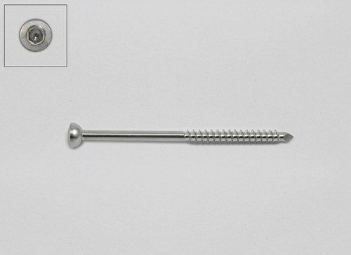 Silver Malleolar Screw