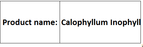 Calophyllum Inophyllum Seed Oil