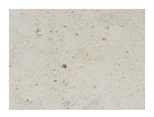 Grey Limestone