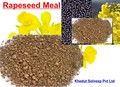 Rapeseed Meal