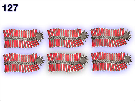 Thermocol Fire Cracker