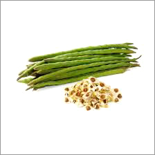 Moringa Oleifera Seeds