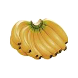 Banana Robusta