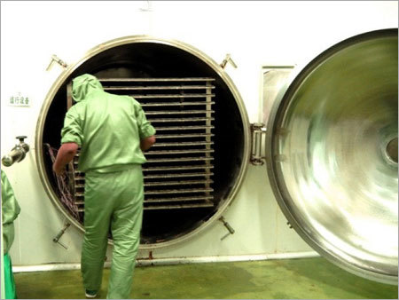 400kg Batch Freeze Dryer