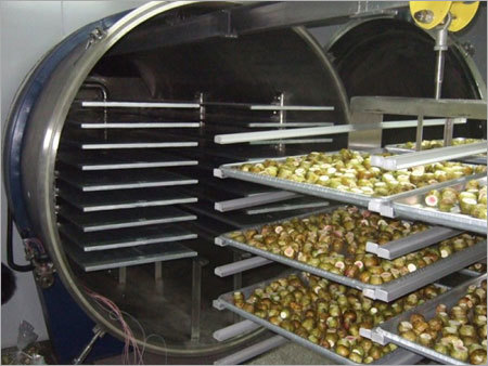 500kg Batch Freeze Dryer