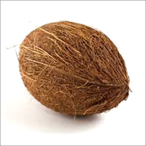 Mature Coconut
