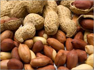 Ground Nut