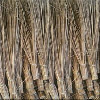Coconut Brooms
