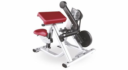 Biceps Curl Machine Plate Loaded