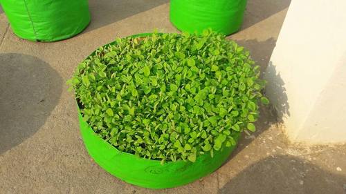 HDPE Round Grow Bags