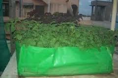 Rectangular Grow Bags