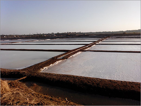 Evaporated Salt Pond