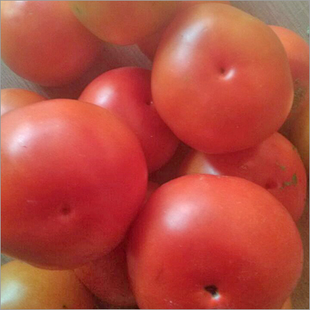 Fresh Red Tomato