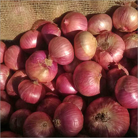 Farm Fresh Red Onion