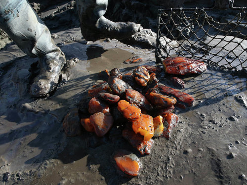 Round Raw Baltic And Ukrainian Amber