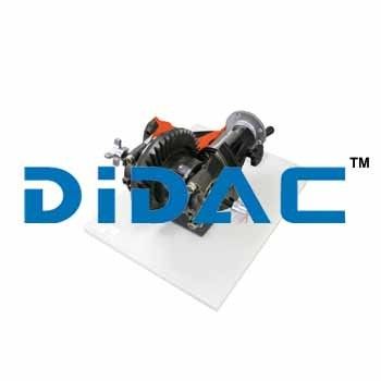 Cutaway Differential With Adjustment Capabilities