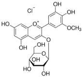 Zirconium Standard for ICP