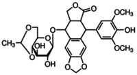 Etoposide