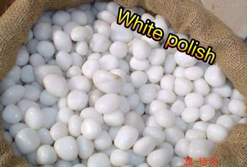 Home And Garden showpiece Super White Polish Pebble Wash Gravels