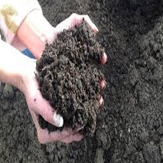 Organic compost
