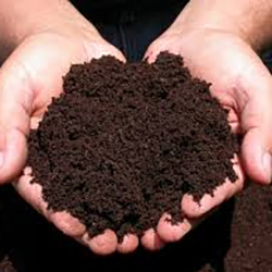 Premium Organic Compost