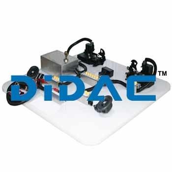 Power Door Lock System Trainer Two Door Hyundai