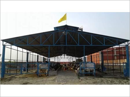 Cow Shed
