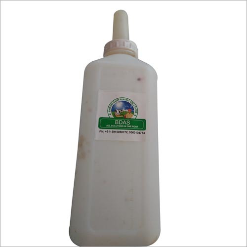 Calf Feeding Bottle