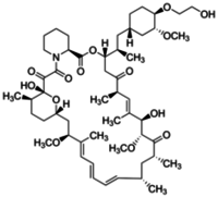 Everolimus