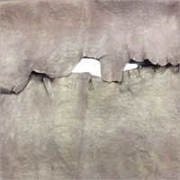 जूते का ऊपरी सामग्री चमड़ा