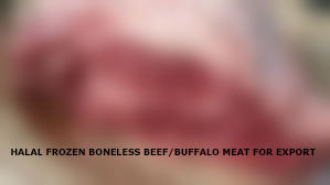 HALAL FROZEN BONELESS BEEF BUFFALO MEAT FOR EXPORT