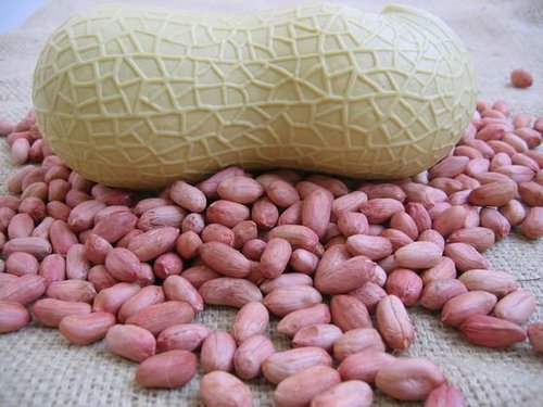 Ground Nut