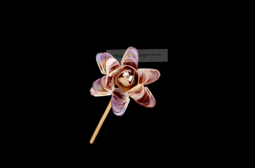 Handicraft Seal Shell Flower