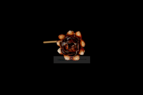 Handicraft Seashell Decorative Flower