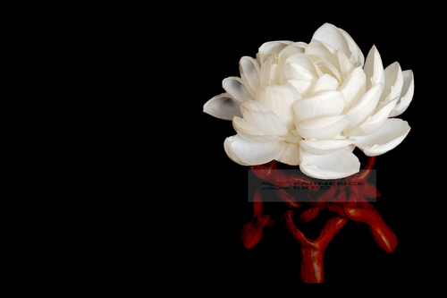 Handicraft Seashell Attractive flower