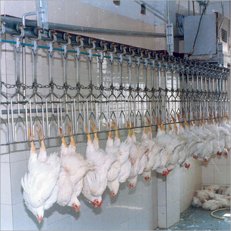 Poultry Plant