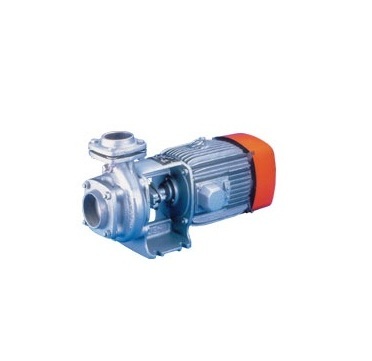 Standard Domestic Monoblock Pump Power: 1.5 Kw